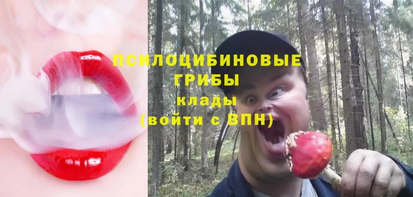 молекула духа Алексин