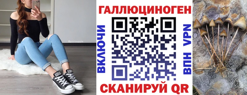 ОМГ ОМГ ссылка Дрезна Псилоцибиновые грибы прущие грибы